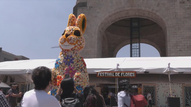 Lễ hội hoa mùa xuân kêu gọi bảo tồn loài thỏ Teporingo ở Mexico - Ảnh 3.