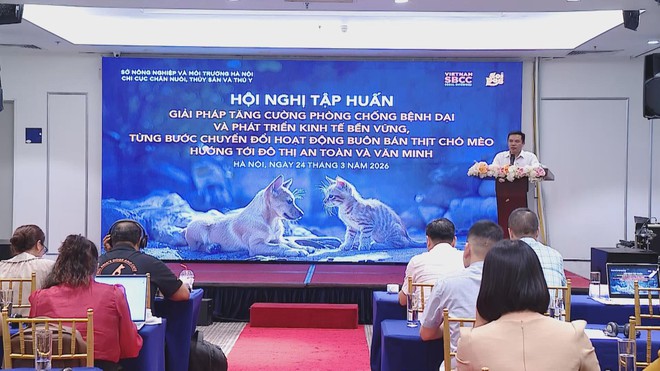 Hà Nội: Quyết liệt phòng chống bệnh dại và hỗ trợ chuyển đổi kinh doanh thịt chó, mèo - Ảnh 1.