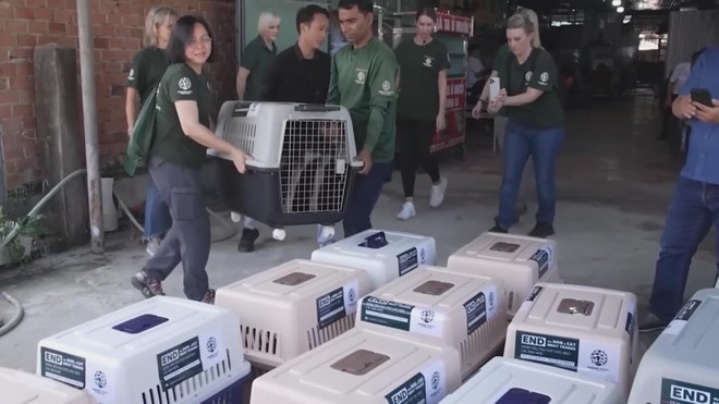 Hà Nội: Quyết liệt phòng chống bệnh dại và hỗ trợ chuyển đổi kinh doanh thịt chó, mèo - Ảnh 2.