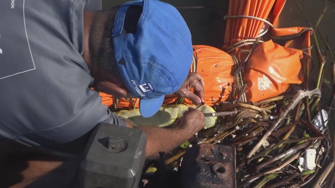 Hàng rào nổi làm từ tóc chống ô nhiễm trên biển ở Brazil - Ảnh 1.