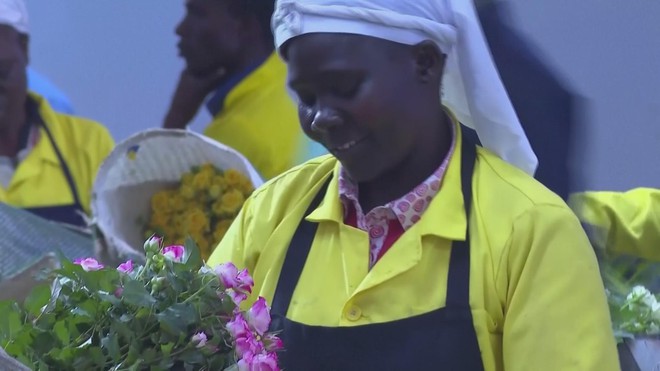 Kenya: Ngành trồng hoa thiệt hại vì xung đột Trung Đông - Ảnh 1.