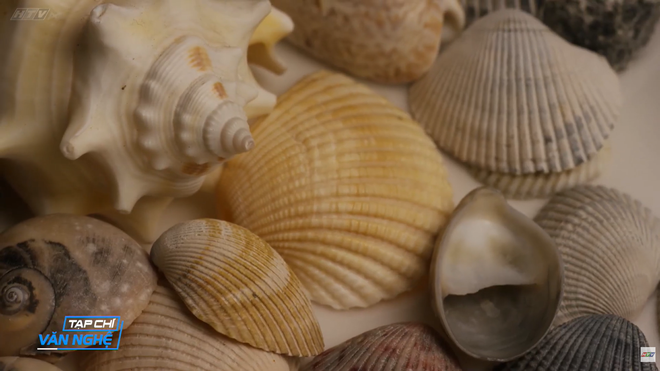 Tạp chí văn nghệ: Họa sĩ La Như Long và những sáng tạo từ vỏ sò - Ảnh 3.