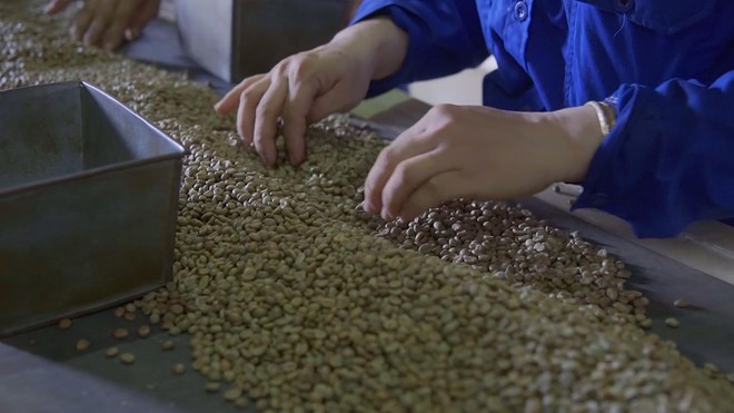 Giá cước vận tải tăng gấp 5 lần: Bài toán khó của các doanh nghiệp xuất khẩu Việt - Ảnh 2.