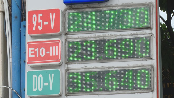 TP. Hồ Chí Minh: Đẩy sớm lộ trình xăng sinh học E10, sẵn sàng cho kỷ nguyên năng lượng xanh - Ảnh 1.