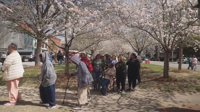 Lễ hội hoa anh đào lớn nhất nước Mỹ ở bang Georgia - Ảnh 2.