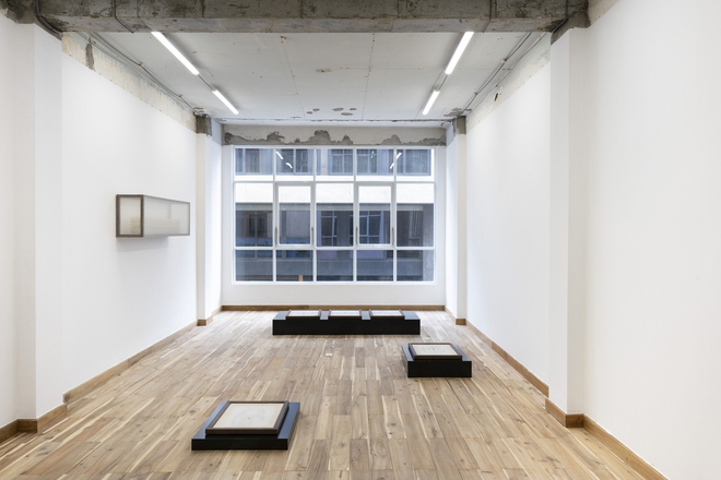 Trong cuộn phim, khu rừng sống mãi: Những thổ lộ về đời sống đô thị hiện đại  - Ảnh 2.