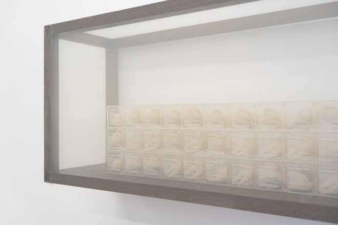 Trong cuộn phim, khu rừng sống mãi: Những thổ lộ về đời sống đô thị hiện đại  - Ảnh 11.