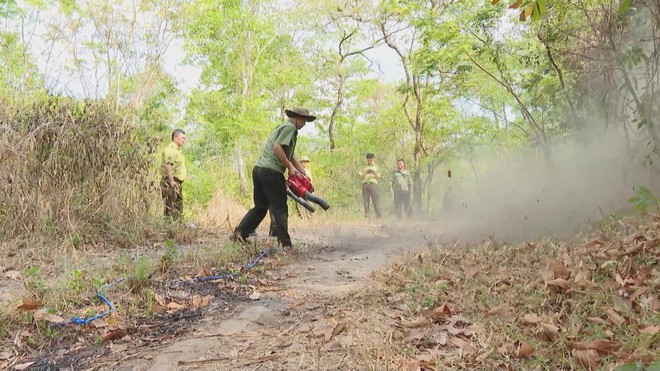 Thời sự HTV ngày 29/3/2026 | Doanh nghiệp ứng phó trước biến động địa chính trị toàn cầu - Ảnh 6.