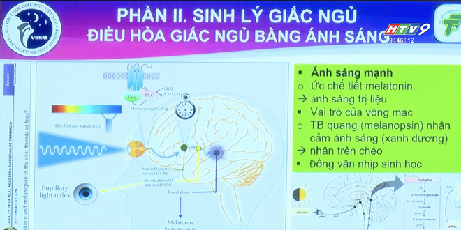 Hội thảo Y học giấc ngủ và thể thao: Nhấn mạnh vai trò phục hồi của VĐV - Ảnh 2.