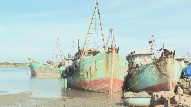 Vươn khơi - Ngày 3/3/2026 | Xã Long Hải tăng cường vận động ngư dân để gỡ “thẻ vàng” - Ảnh 2.