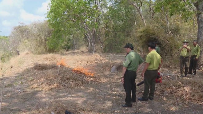 TP. Hồ Chí Minh siết chặt phòng chống cháy rừng mùa khô - Ảnh 3.