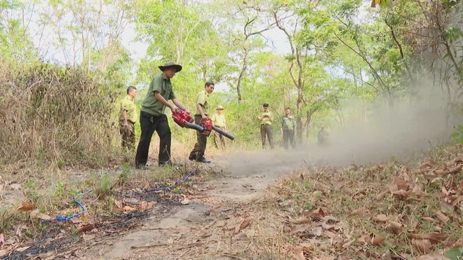 TP. Hồ Chí Minh siết chặt phòng chống cháy rừng mùa khô - Ảnh 2.