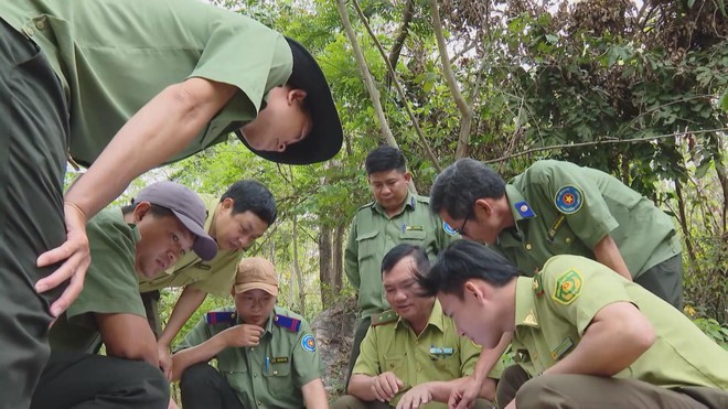 TP. Hồ Chí Minh siết chặt phòng chống cháy rừng mùa khô - Ảnh 1.