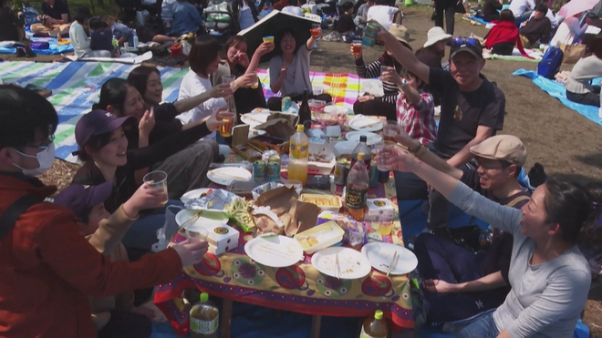 Hoa anh đào nở sớm tại Nhật Bản - Ảnh 2.