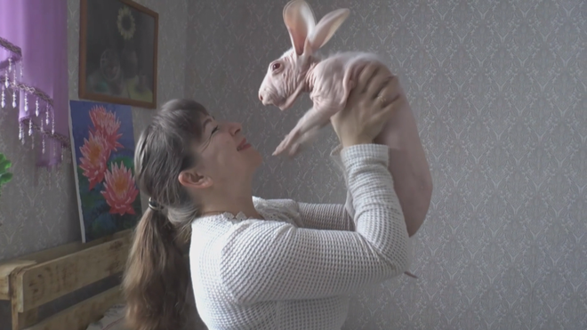 Dobby - Con thỏ không lông duy nhất trên thế giới - Ảnh 3.