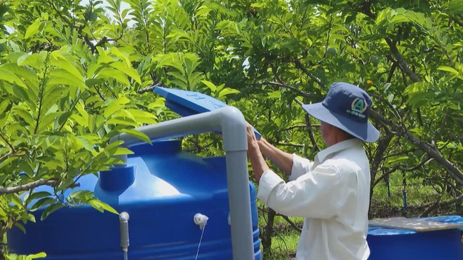 Vươn khơi - Ngày 6/3/2026 | Hiệu quả ứng dụng hệ thống tưới nước tiết kiệm trên cây trồng - Ảnh 7.