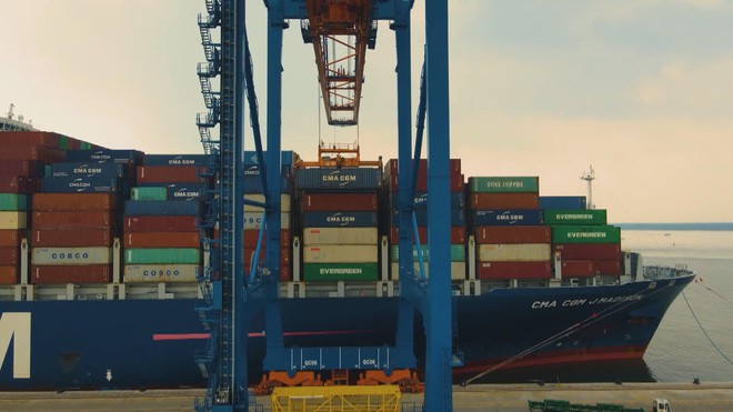 Vươn khơi - Ngày 6/3/2026 | Hiệu quả ứng dụng hệ thống tưới nước tiết kiệm trên cây trồng - Ảnh 5.