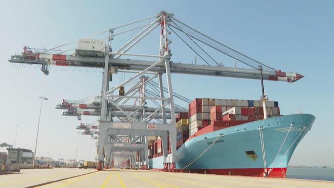 Vươn khơi - Ngày 6/3/2026 | Hiệu quả ứng dụng hệ thống tưới nước tiết kiệm trên cây trồng - Ảnh 3.