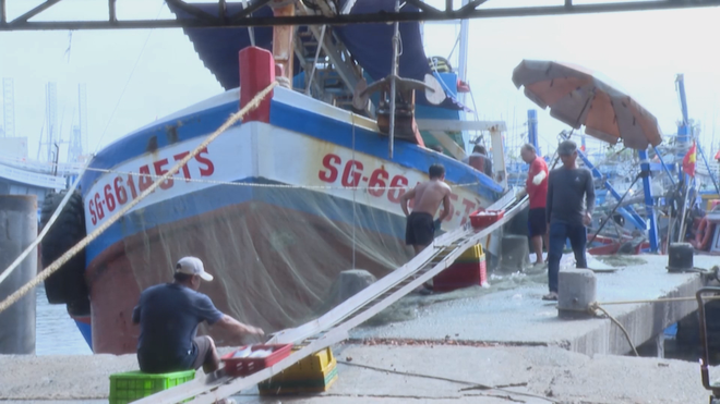 Lãnh đạo TP. Hồ Chí Minh kiểm tra tại các cảng cá - Ảnh 2.
