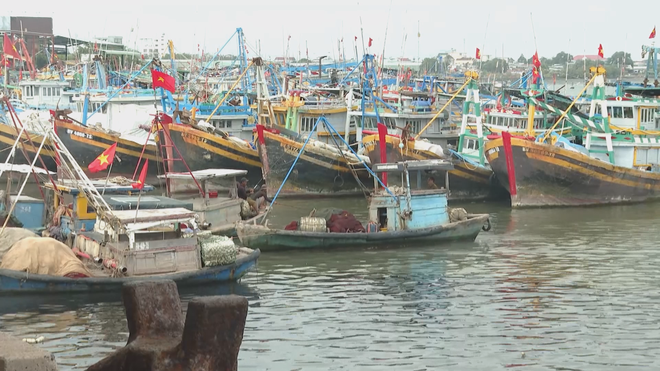 CÁC ĐỊA PHƯƠNG VEN BIỂN TP. HỒ CHÍ MINH CHUẨN BỊ CHU ĐÁO CHO NGÀY BẦU CỬ  - Ảnh 2.