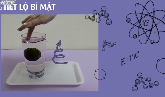 Góc nhỏ kỳ diệu: Khám phá Bến Bạch Đằng  - Ảnh 7.