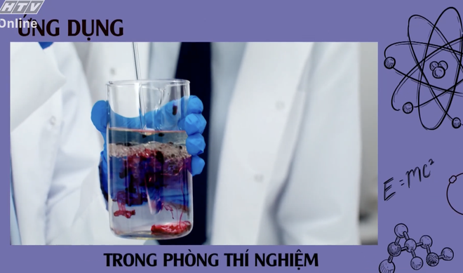 Góc nhỏ kỳ diệu: Khám phá Bến Bạch Đằng  - Ảnh 9.
