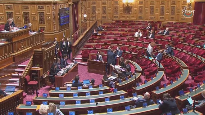 Thượng viện Pháp thông qua lệnh cấm trẻ dưới 15 tuổi dùng mạng xã hội - Ảnh 4.