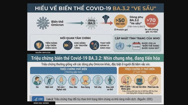 Người dân không hoang mang, không chủ quan trước biến thể Covid-19 “Ve sầu” - Ảnh 2.