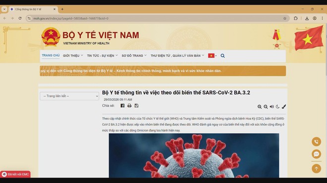 Người dân không hoang mang, không chủ quan trước biến thể Covid-19 “Ve sầu” - Ảnh 1.