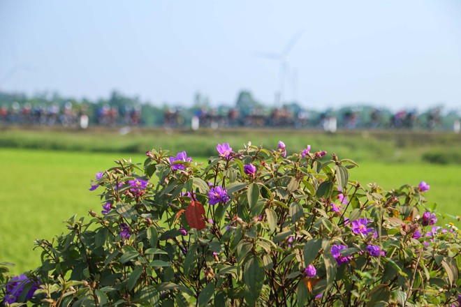 Khoảnh khắc đẹp chặng 8: Ven biển miền Trung | Cúp Truyền hình 2026 - Ảnh 5.