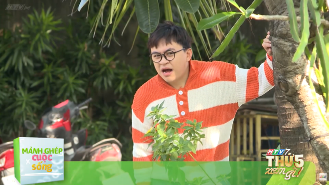 Mảnh ghép cuộc sống - 20g30 thứ Năm (16/4) trên HTV7 - Ảnh 1.