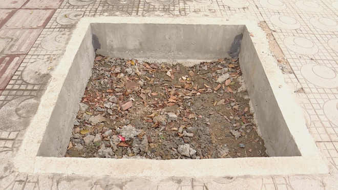 60 Giây ngày 16/4/2026 | Bàn giao cao tốc Cần Thơ – Cà Mau trước ngày 30/4- Ảnh 3. 60 Giây ngày 16/4/2026 | Bàn giao cao tốc Cần Thơ – Cà Mau trước ngày 30/4- Ảnh 3.