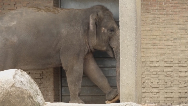 Đức: Tour sở thú cho người mắc chứng sa sút trí tuệ- Ảnh 3.