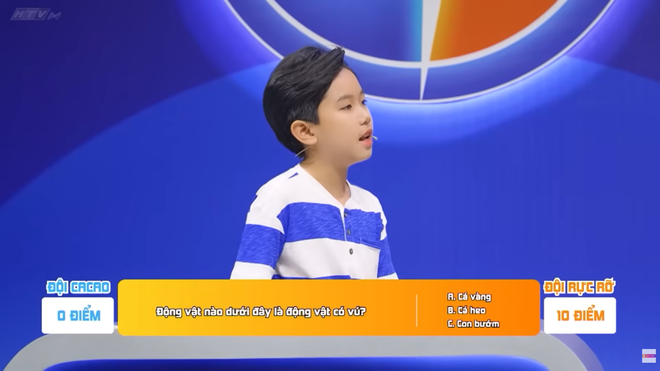 Game show gia đình mới "Tranh tài đọ sức": Khi trí và thể lực cùng thắp sáng tình cảm mẹ con - Ảnh 5.