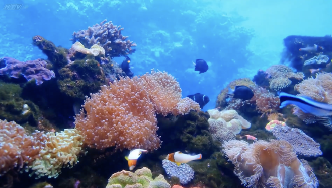 Sáng tạo cùng vải vụn và len: Bức tranh "Đại dương xanh" đầy màu sắc - Ảnh 4.