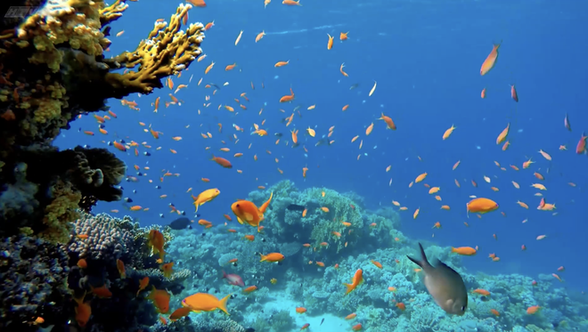 Sáng tạo cùng vải vụn và len: Bức tranh "Đại dương xanh" đầy màu sắc - Ảnh 5.