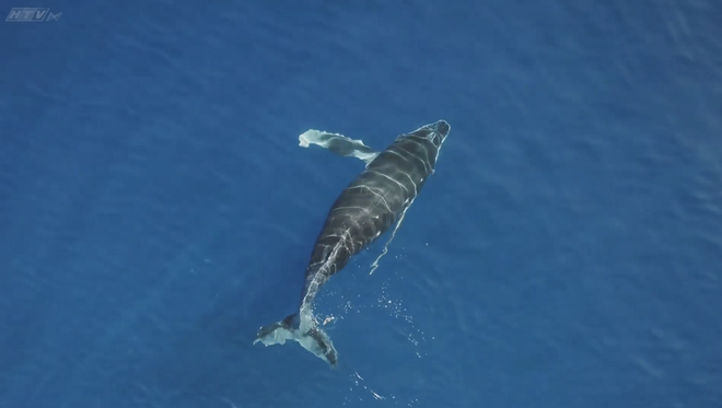 Sáng tạo cùng vải vụn và len: Bức tranh "Đại dương xanh" đầy màu sắc - Ảnh 3.