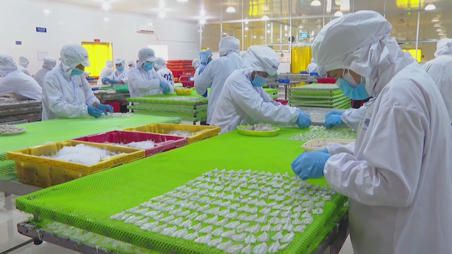 TP. Hồ Chí Minh siết chặt an toàn thực phẩm từ những mắt xích nhỏ nhất - Ảnh 4.