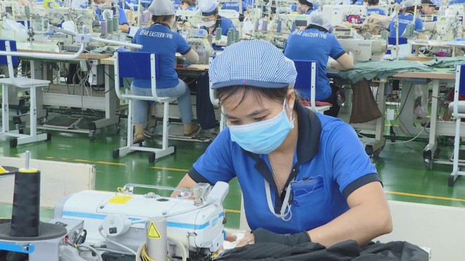 TP. Hồ Chí Minh đẩy nhanh tiến độ Tổng điều tra kinh tế năm 2026 - Ảnh 3.