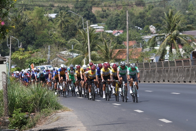 Chặng 14 Cúp Truyền hình 2026: Quyết liệt trên những con dốc - Ảnh 13.