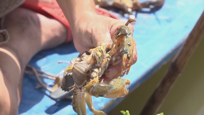 60 Giây ngày 18/4/2026 | Người dân TP. Hồ Chí Minh được khám sức khỏe, tầm soát bệnh miễn phí - Ảnh 2.