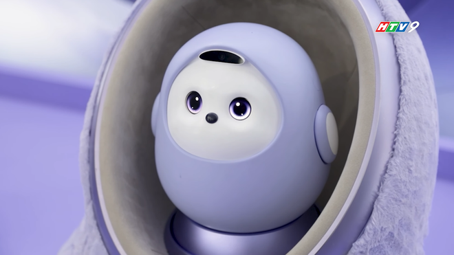 TCL ra mắt thế hệ TV SQD-Mini LED đầu tiên tại Việt Nam - Ảnh 5.