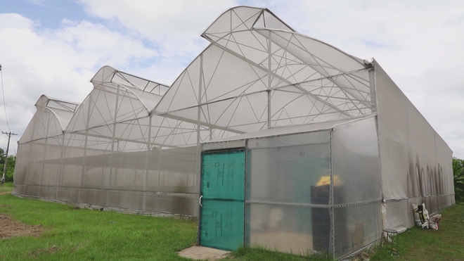 TP. Hồ Chí Minh thúc đẩy nông nghiệp công nghệ cao, thích ứng đô thị hóa và biến đổi khí hậu - Ảnh 1.