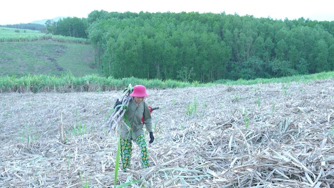 Mái ấm gia đình Việt: Thảo Vân ở trọ từ nhỏ, đêm nằm khóc vì nhớ bà - Ảnh 2.