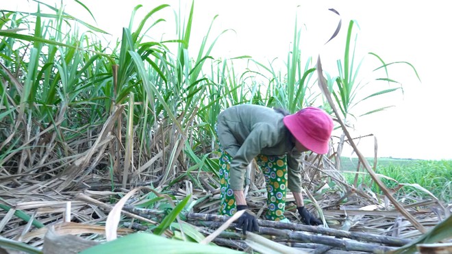 Mái ấm gia đình Việt: Thảo Vân ở trọ từ nhỏ, đêm nằm khóc vì nhớ bà - Ảnh 3.