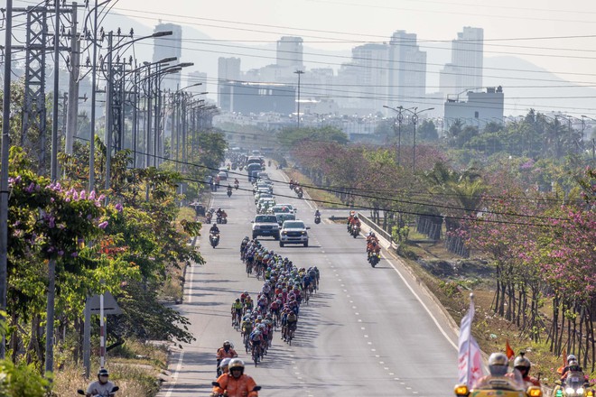 Ảnh đẹp chặng 16: Nha Trang - Lâm Đồng (140 km) - Ảnh 24.