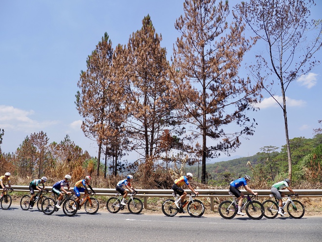 Ảnh đẹp chặng 16: Nha Trang - Lâm Đồng (140 km) - Ảnh 23.