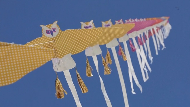 Pháp: Sôi động lễ hội diều quốc tế lần thứ 39 - Ảnh 7.