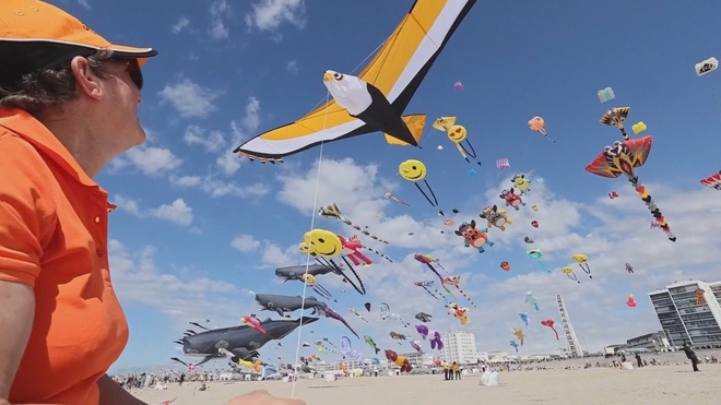 Pháp: Sôi động lễ hội diều quốc tế lần thứ 39 - Ảnh 4.