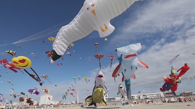 Pháp: Sôi động lễ hội diều quốc tế lần thứ 39 - Ảnh 2.
